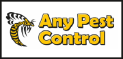 Any Pest Control