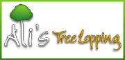 Ali's Tree Lopping