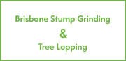 Brisbane Stump Grinding & Tree Lopping